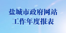 鹽城市政府網站工作年度報表